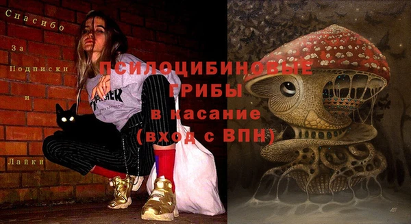 МДПВ Арсеньев