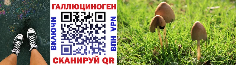 Галлюциногенные грибы Psilocybe  это клад  Чудово  OMG ссылка 